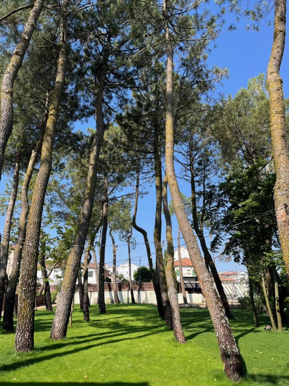 Casa Jardín El Colmenar Las Navas del Marqués Exterior foto