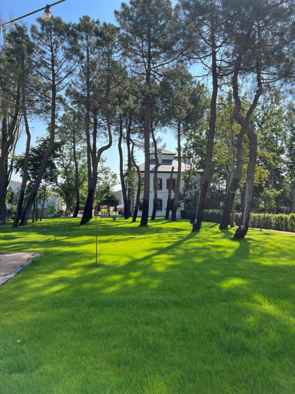 Casa Jardín El Colmenar Las Navas del Marqués Exterior foto